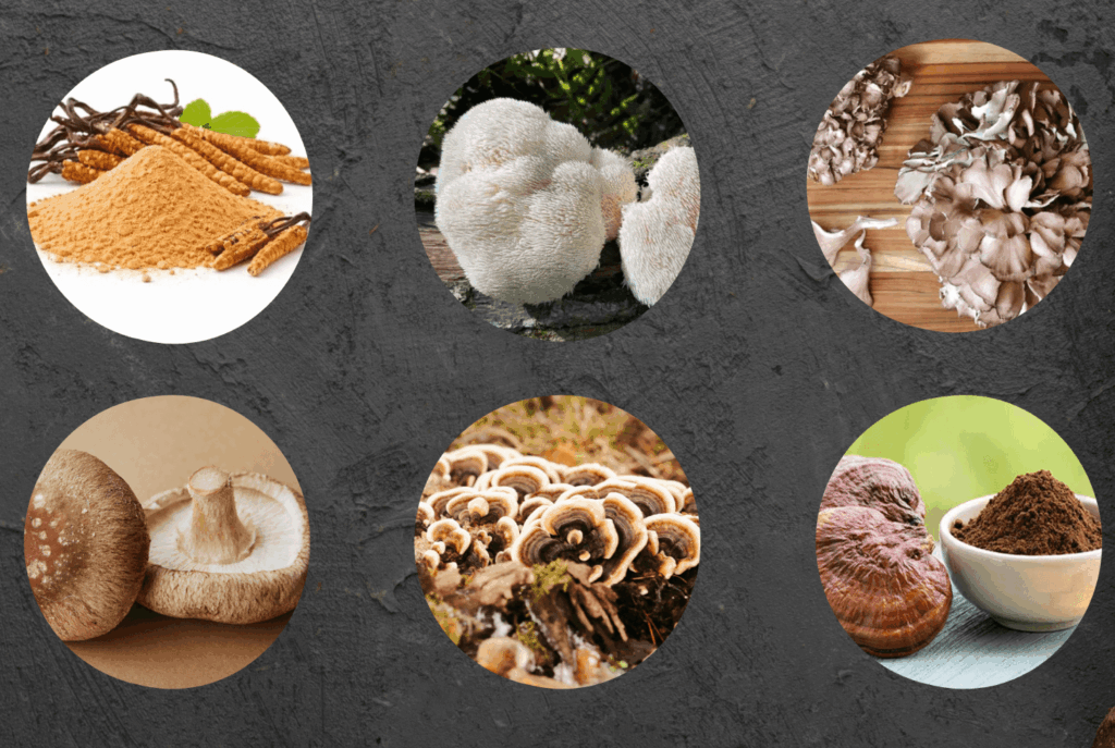 Mindoxa ingredients