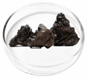 Shilajit